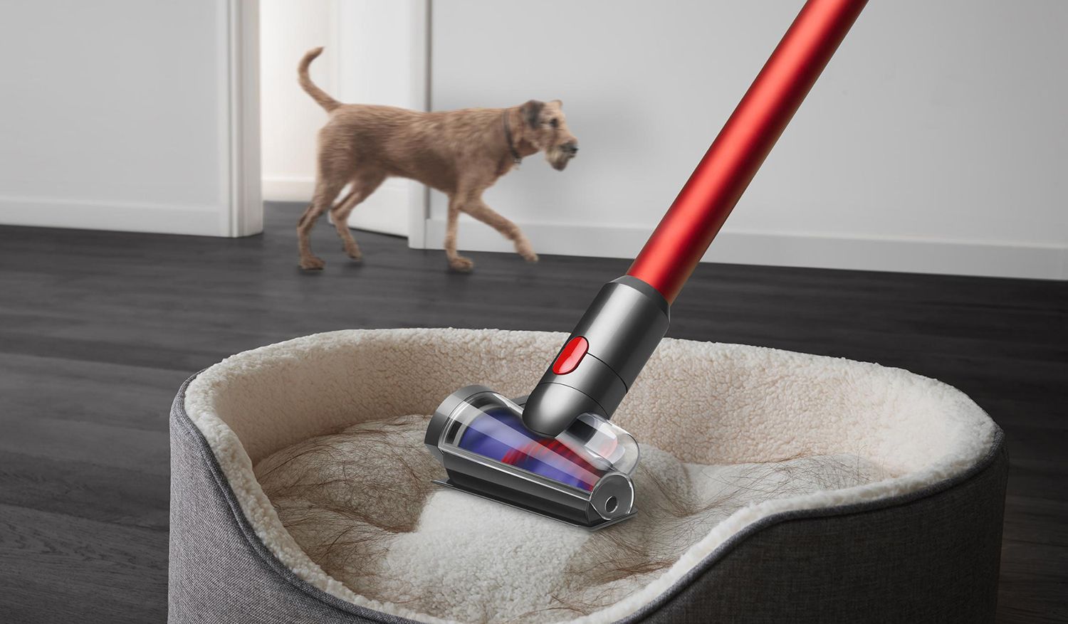 Cepillo dyson online pelo