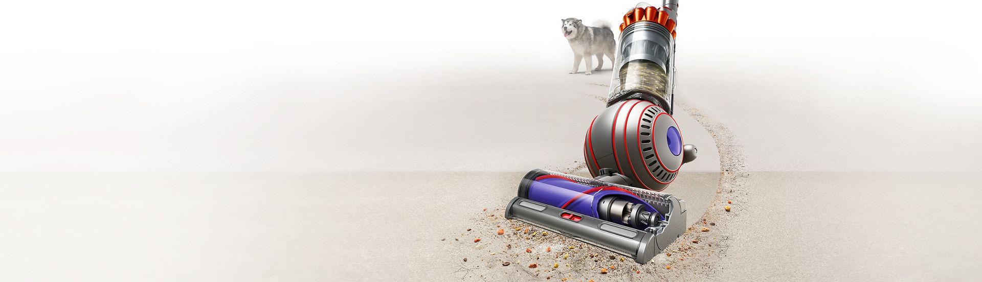 Dyson Ball Animal vacuum with Pet groom tool