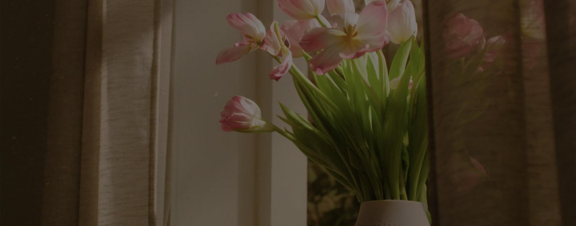 Vazodan dökülen çiçek yapraklarıyla birlikte toz ve polenleri gösteren video