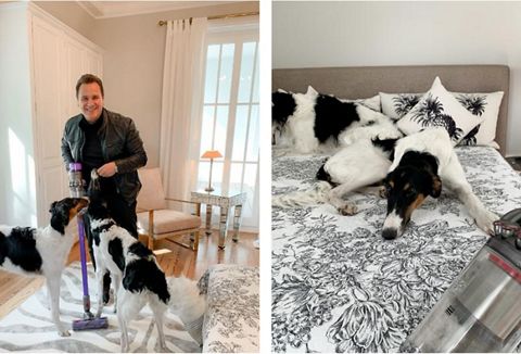  Feature Motif Welthundetag – Guido Maria Kretschmer: „So schaffe ich mir ein gemütliches Zuhause mit meinen fünf Barsoi-Damen“  Designer und Hundebesitzer: Guido Maria Kretschmer wohnt mit seinem Mann Frank und fünf Hunden in Hamburg.