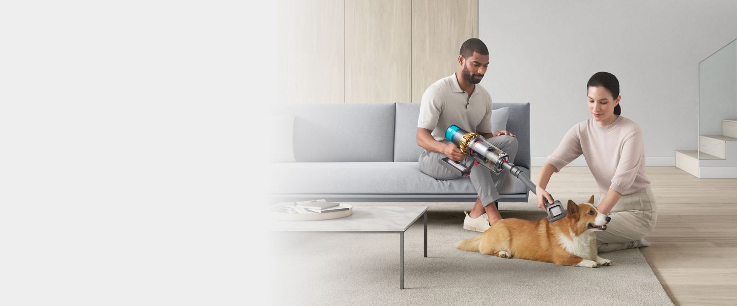 Vacuum pet grooming tool grooming dog