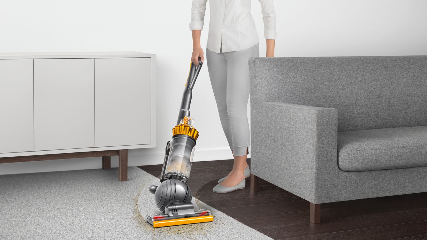 Dyson Ball Origin