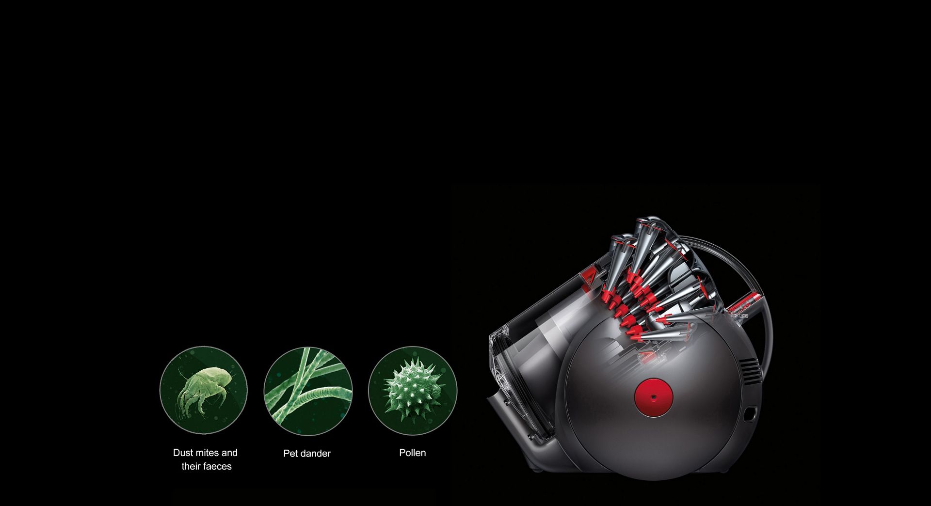  Dyson vacuum along with evidencnce of dust mites, pet dander and pollen.