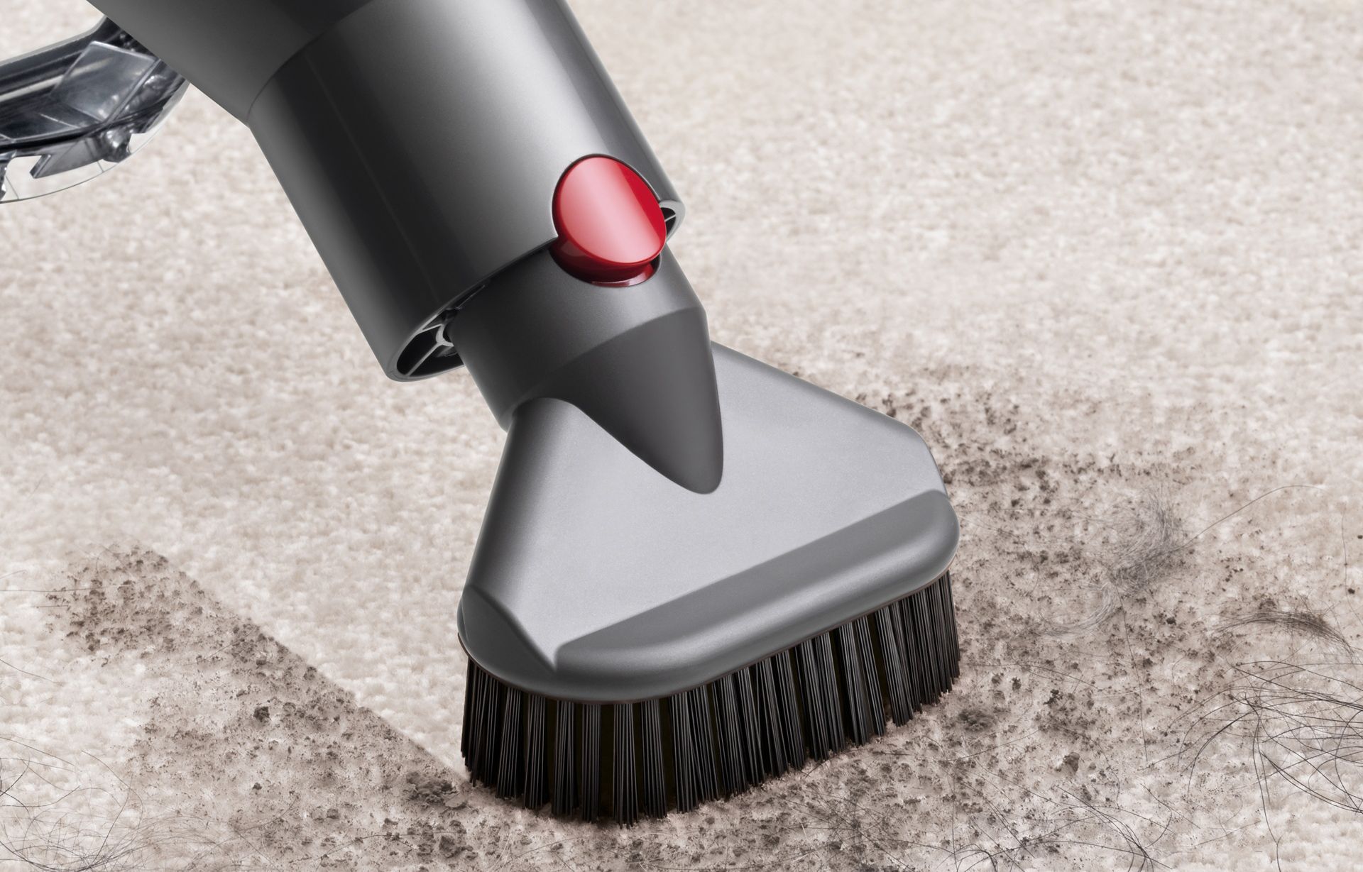 Mini-brosse à soies dures à retrait rapide nettoyant des empreintes de pattes sur le tapis