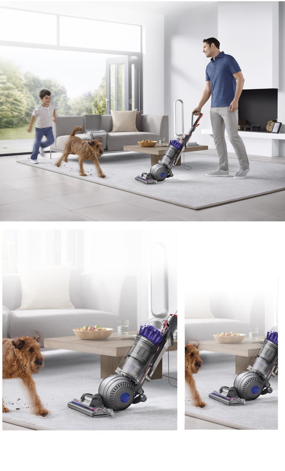 Homme utilisant l’aspirateur Dyson DC66 Animal dans le salon où se trouvent un enfant et un chien