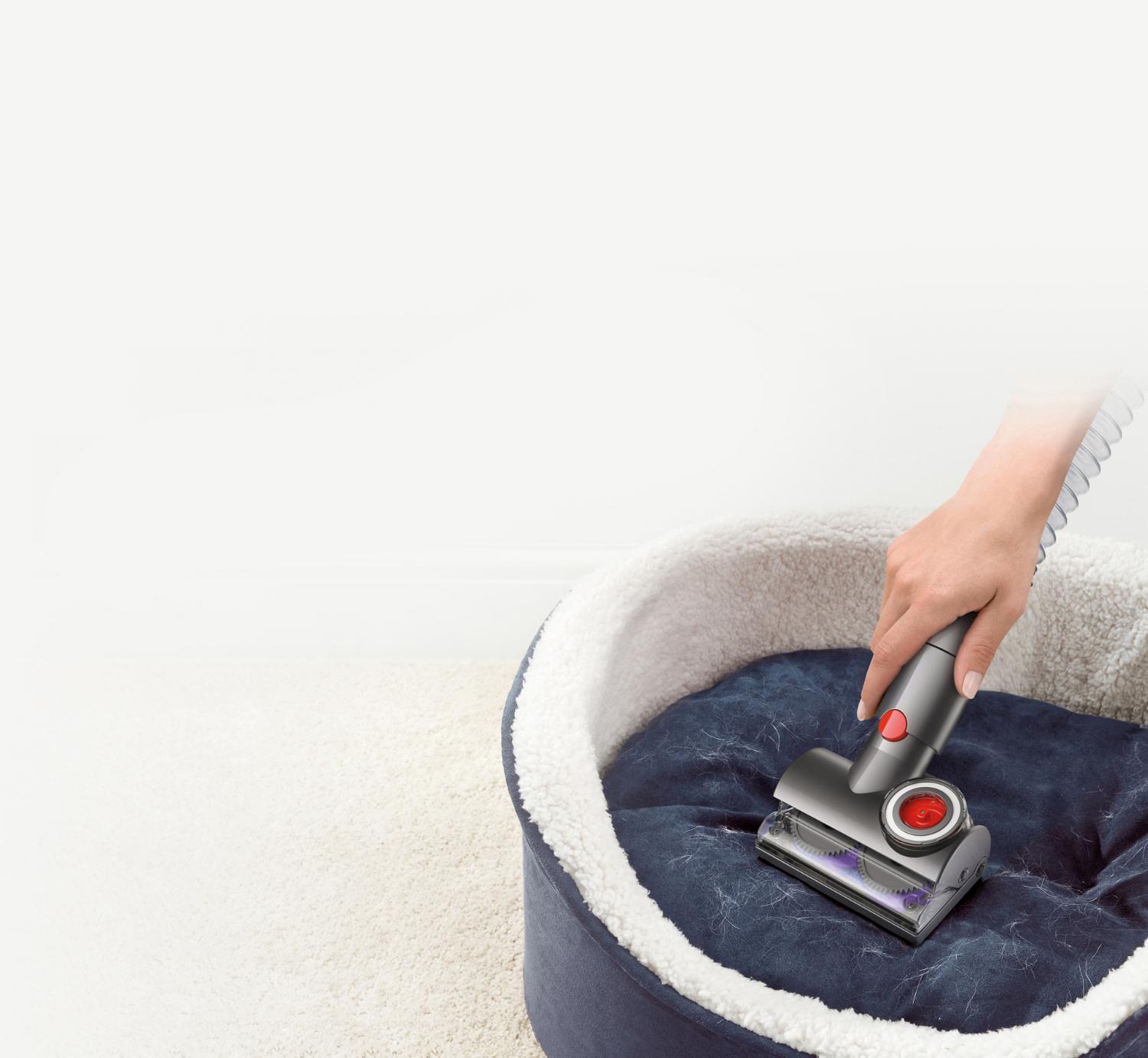 Tête d’aspirateur dans un panier de chien