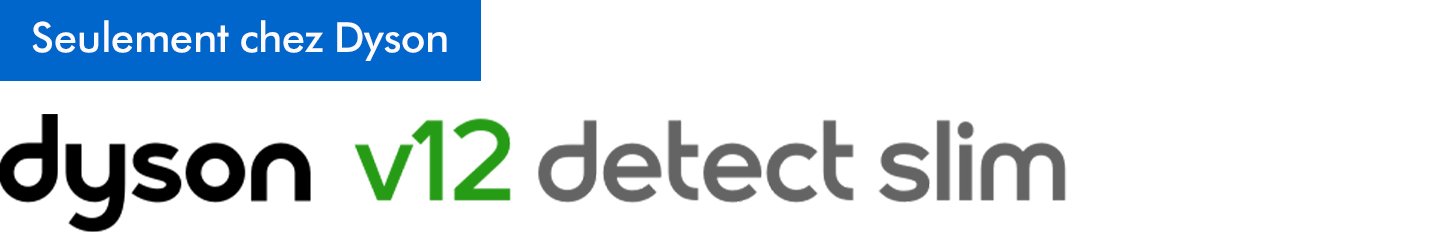 Dyson v12 detect slim logo