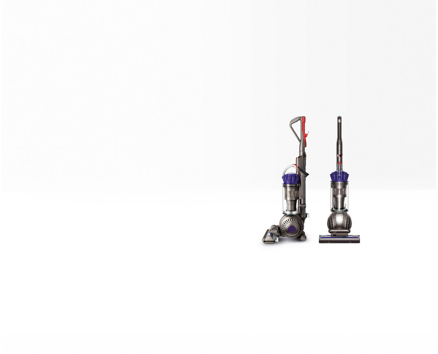 Vue de face et vue latérale de l’aspirateur Dyson DC66 Animal