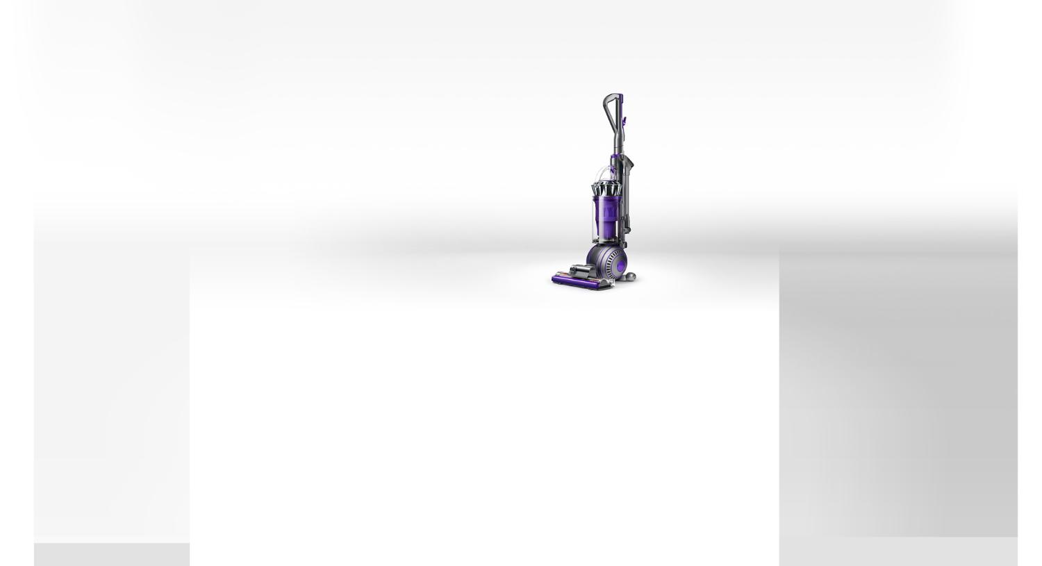 Aspirateur Dyson Ball Animal 2
