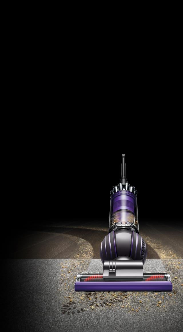 Explore Dyson Ball Animal 2 Dyson Canada