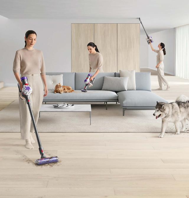 Dyson Staubsauger V8™ online entdecken