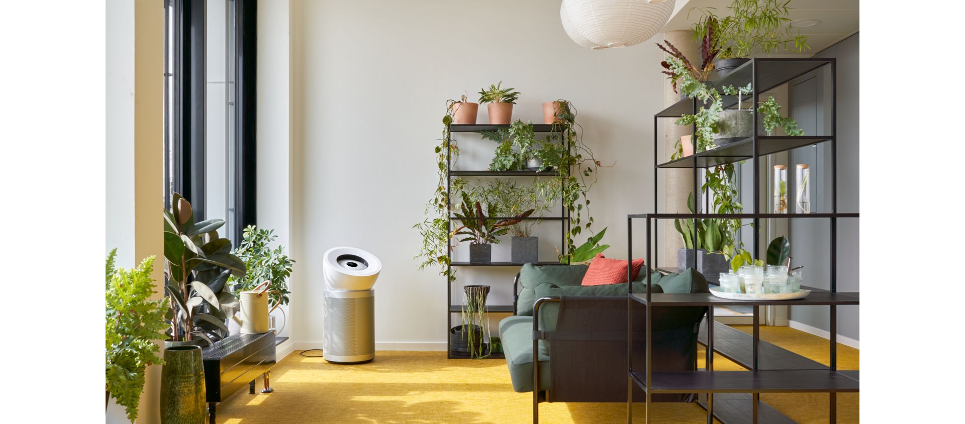Dyson Big und Quiet im Wohnzimmer