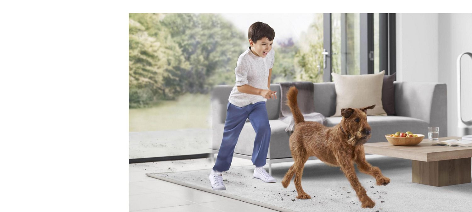 Pet dander allergy: Symptoms, causes and prevention