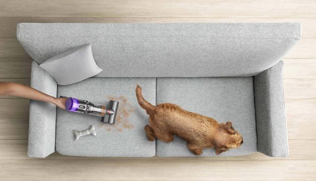 Odkurzacz bezprzewodowy Dyson odkurzający kanapę, na której siedzi pies pozostawiający za sobą sierść