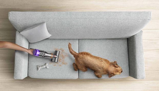 Odkurzacz bezprzewodowy Dyson odkurzający kanapę, na której siedzi pies pozostawiający za sobą sierść 