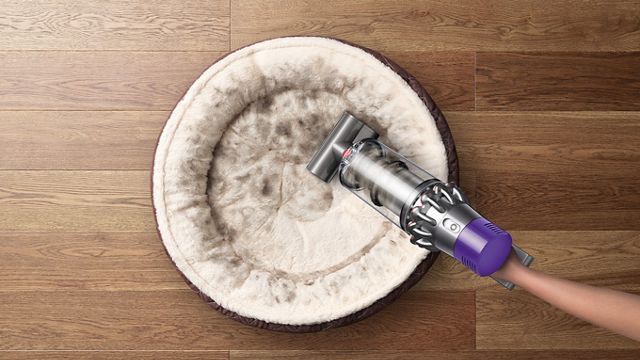  Dyson V7 Cordless Allergy HEPA Vacuum, White (Renewed)