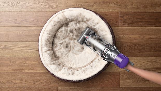 Odkurzacz bezprzewodowy Dyson odkurzający posłanie zwierzęce