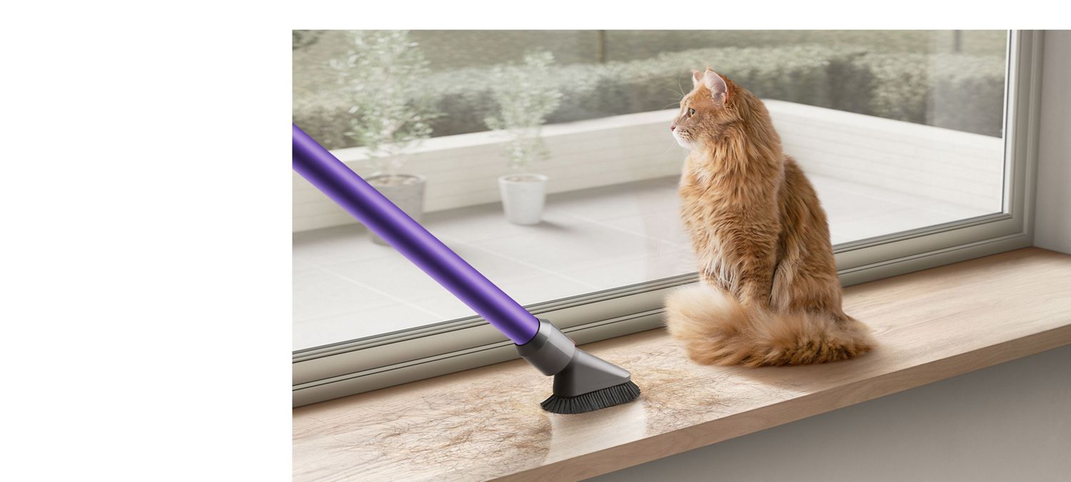 Dyson vacuum vacuuming pet hair