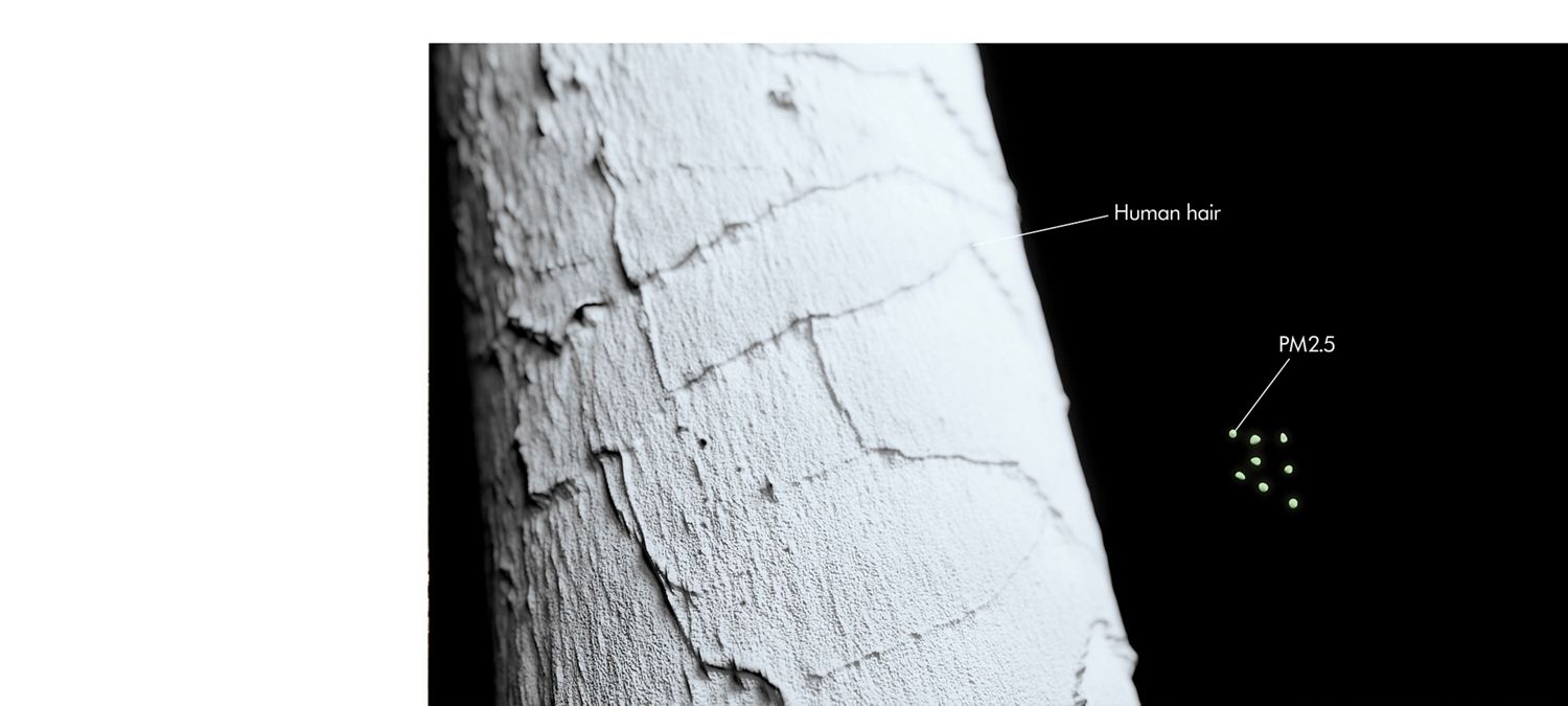 Indoor air pollution