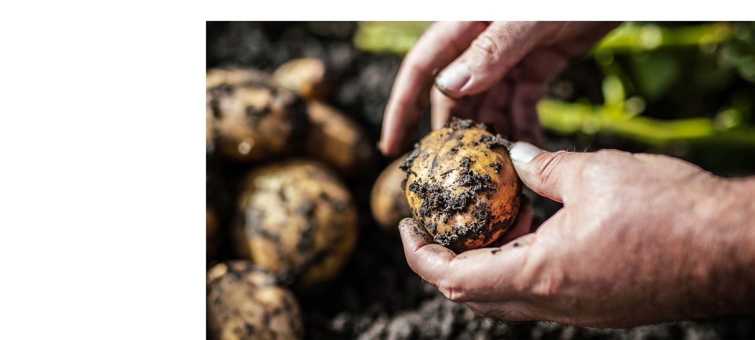 Dyson technology and farming