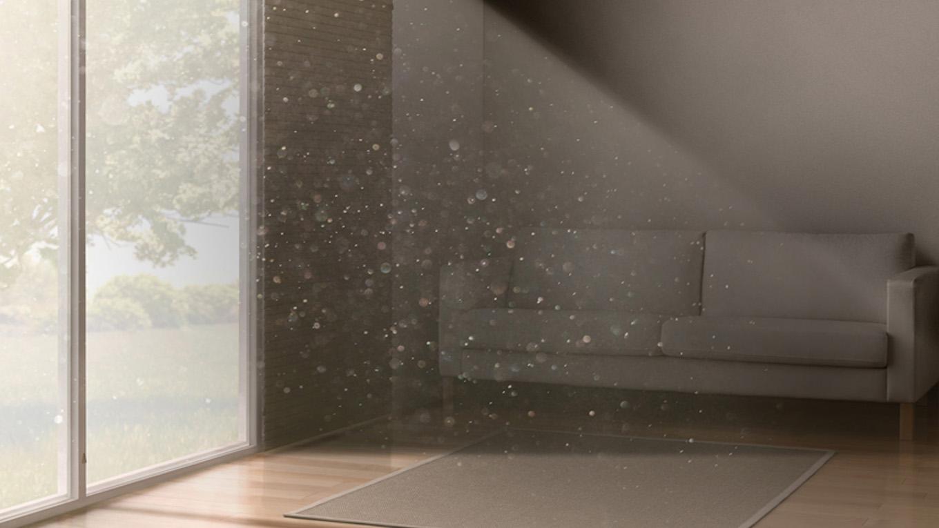 Dust particles in living room