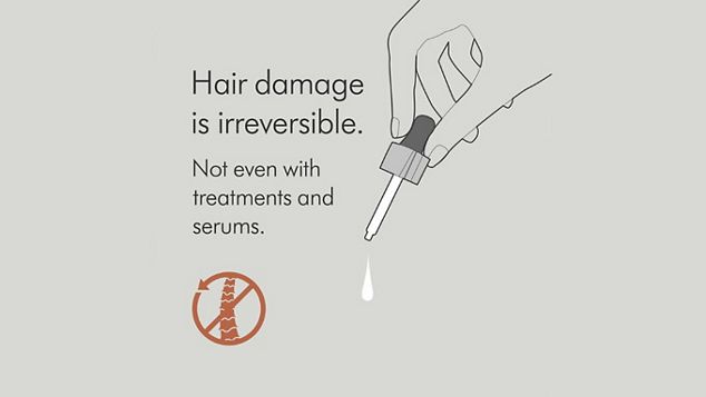 Infografica sullo studio dei capelli di Dyson con testo che spiega come i danni ai capelli siano irreversibili, anche con trattamenti e sieri.