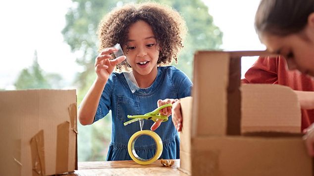 Engineering challenges to do at home