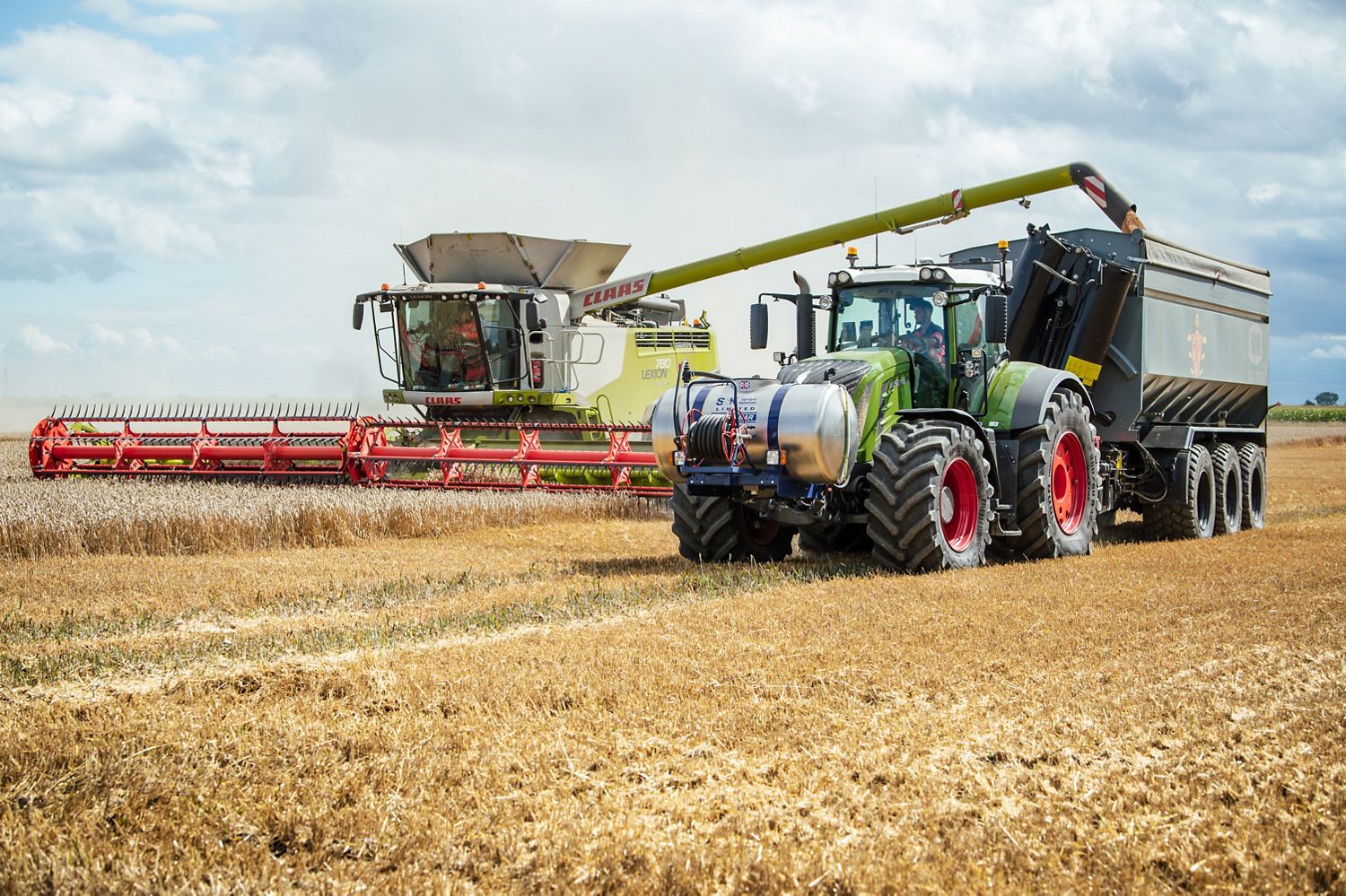 harvesting wheat