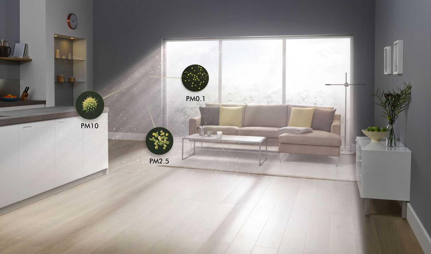 Particles in the air of a living room