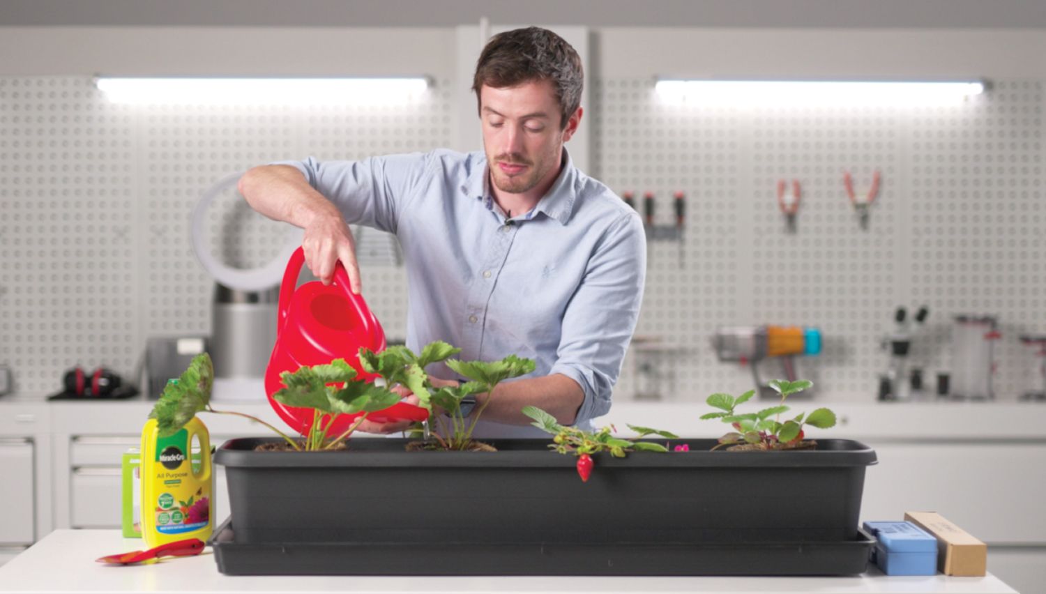 Ben Carless strawberry crop tutorial