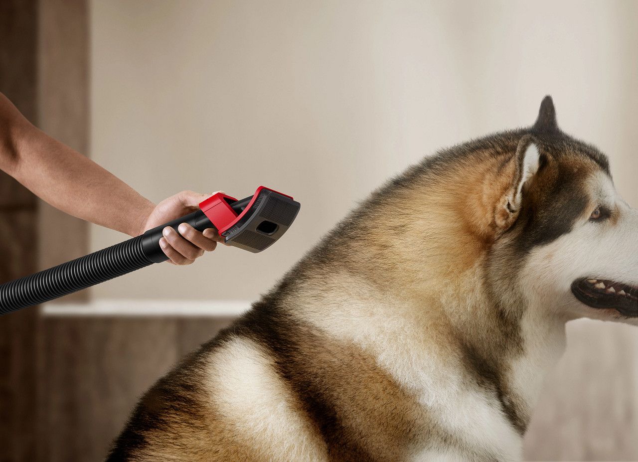 Pet grooming kit