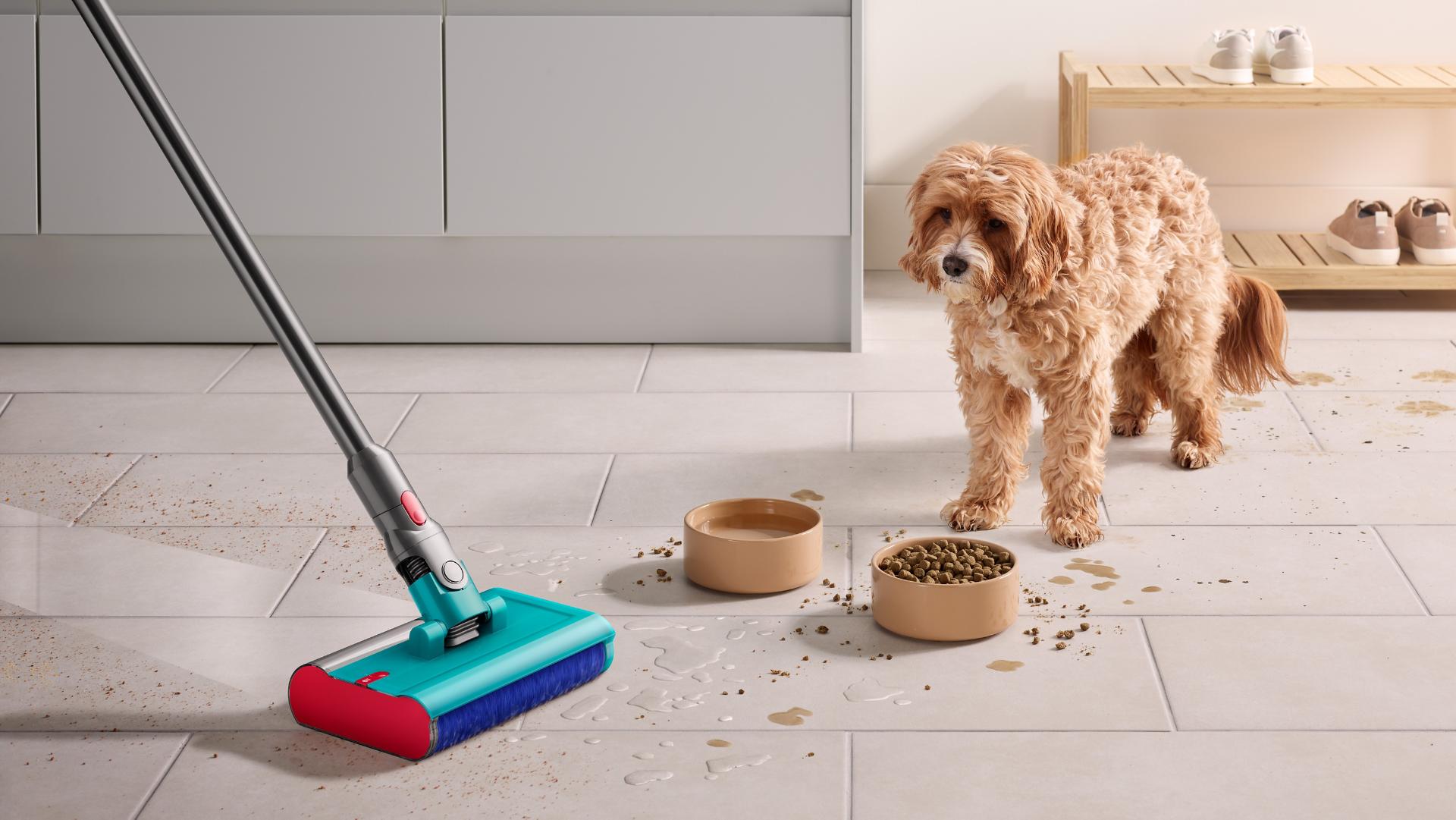 Dyson Submarine zmywający rozlaną karmę i płyny obok psa i misek