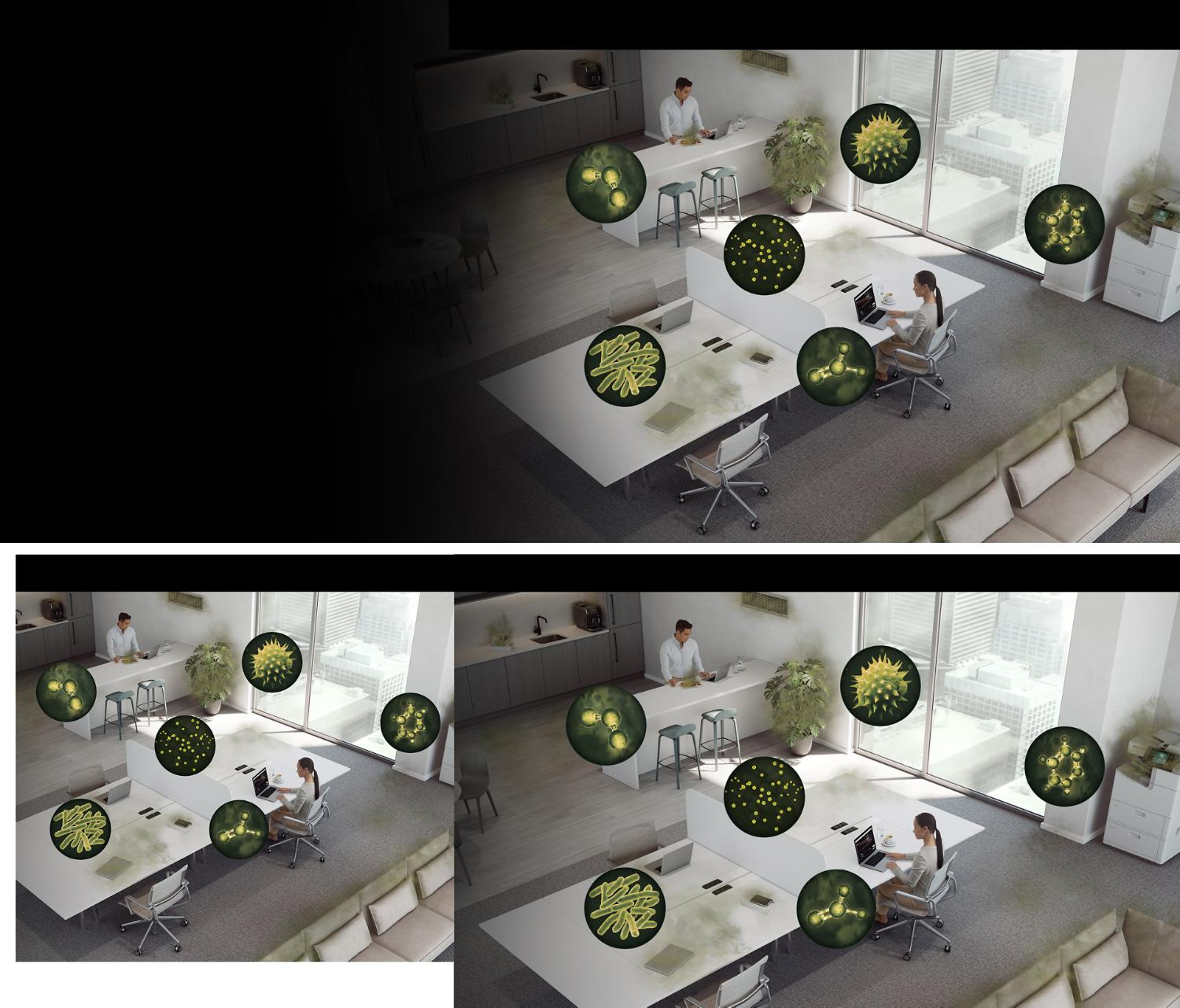 A large living space and the sources of various pollutants.