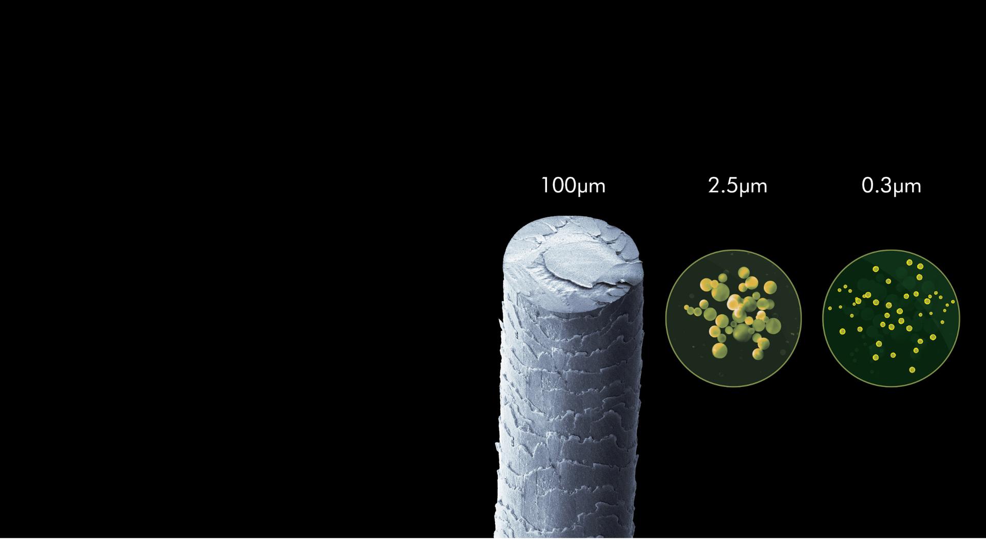Imaginea prezintă păr și alte particule mai mici
