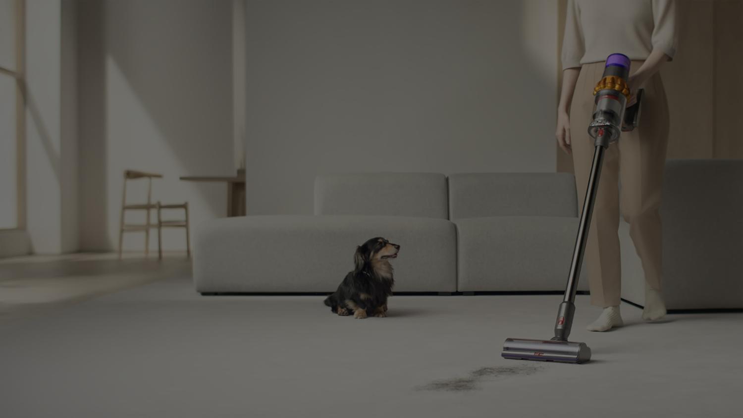 Aspirateurs Dyson à la maison dans différentes situations