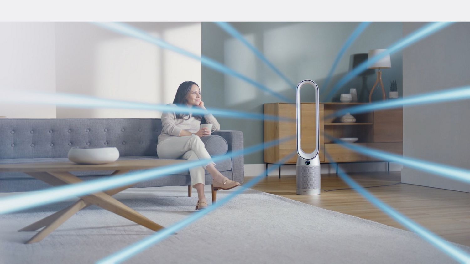 Dyson for Allergens