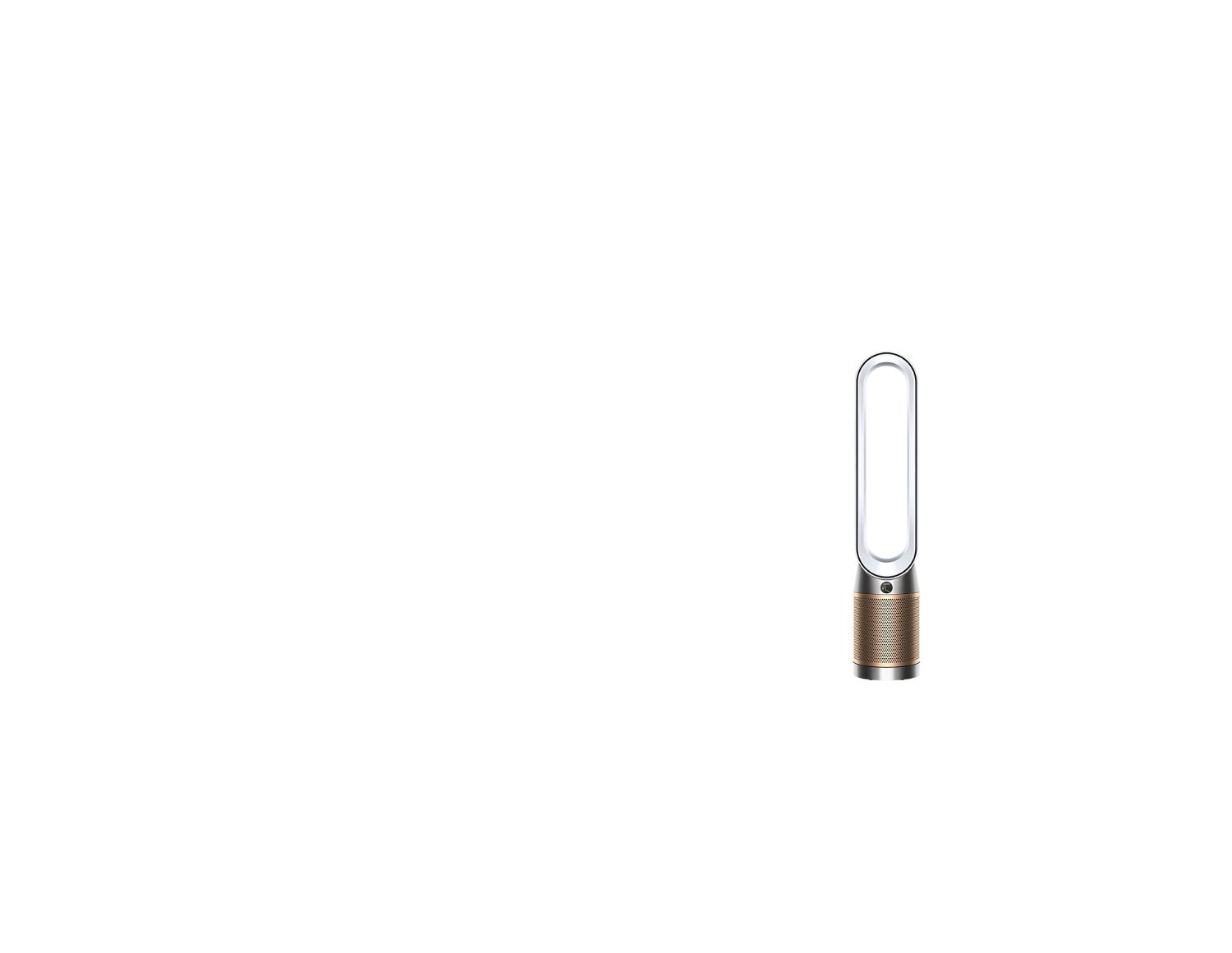 Gamma purificatori Dyson