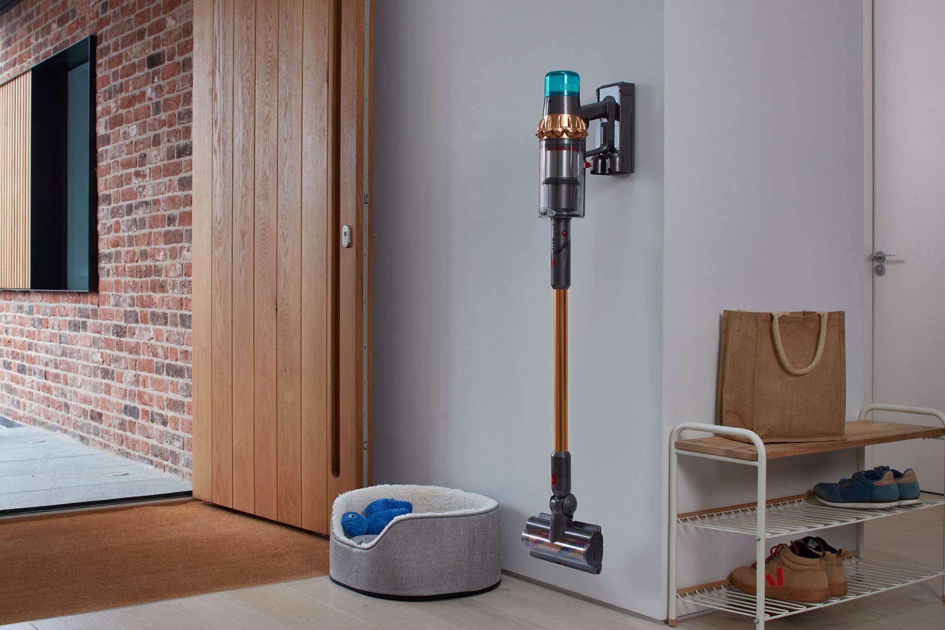 Dyson vacuum and a dog