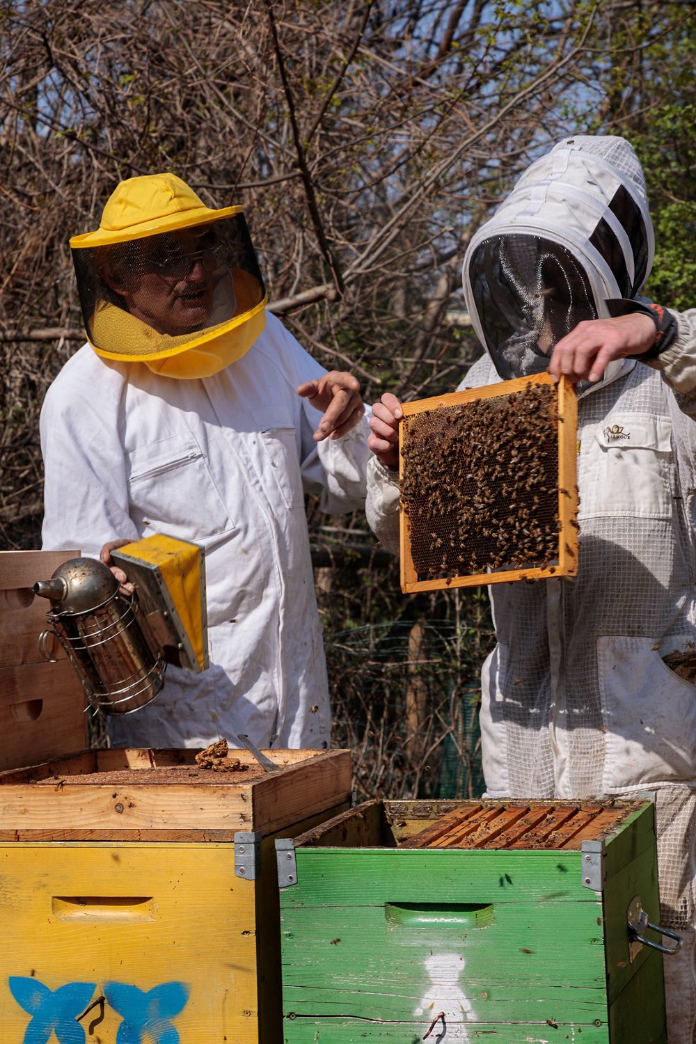 Dyson Omni-glide cordless vacuum.