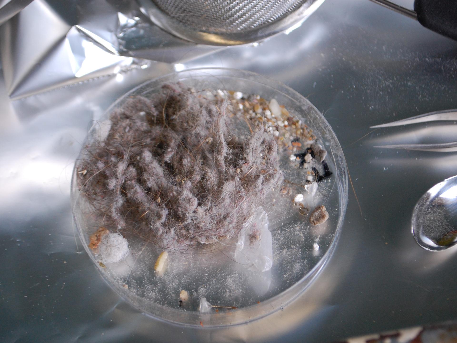 Inside Dyson: Research & Development Labs - Microbiology Labs - Inside ...