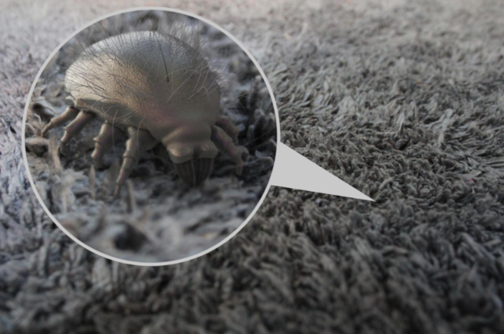 Dyson air purifier dust mites deals