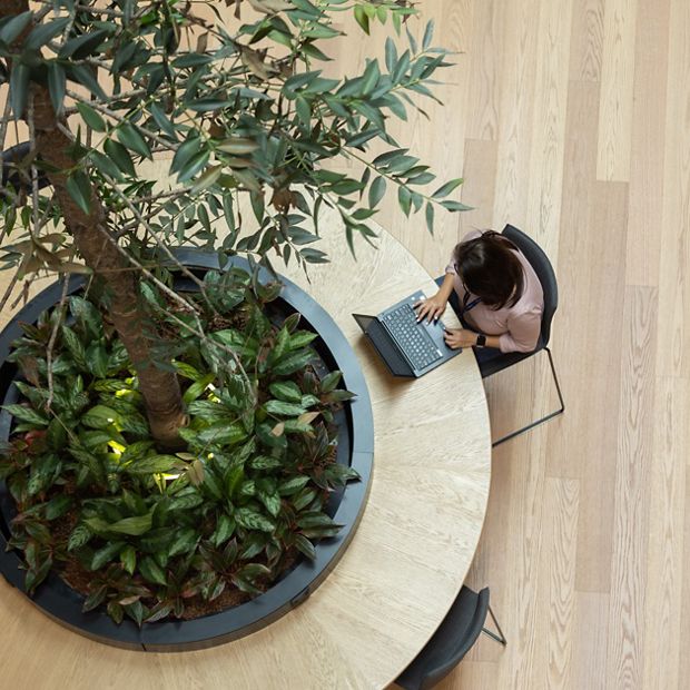 Dyson St James interior