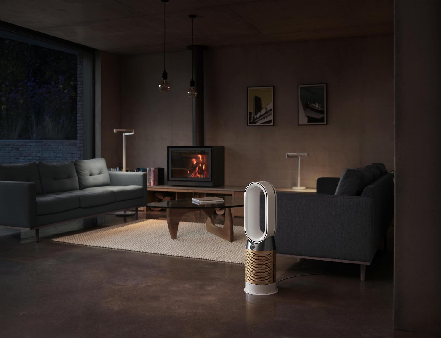 Dyson purifier in house