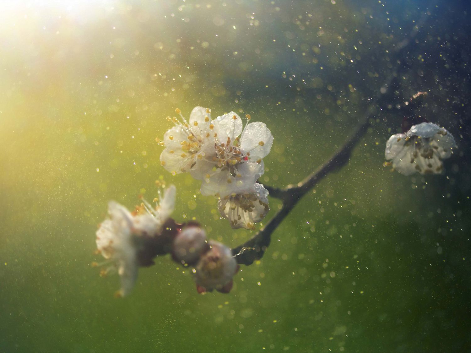 Reducing indoor air pollution