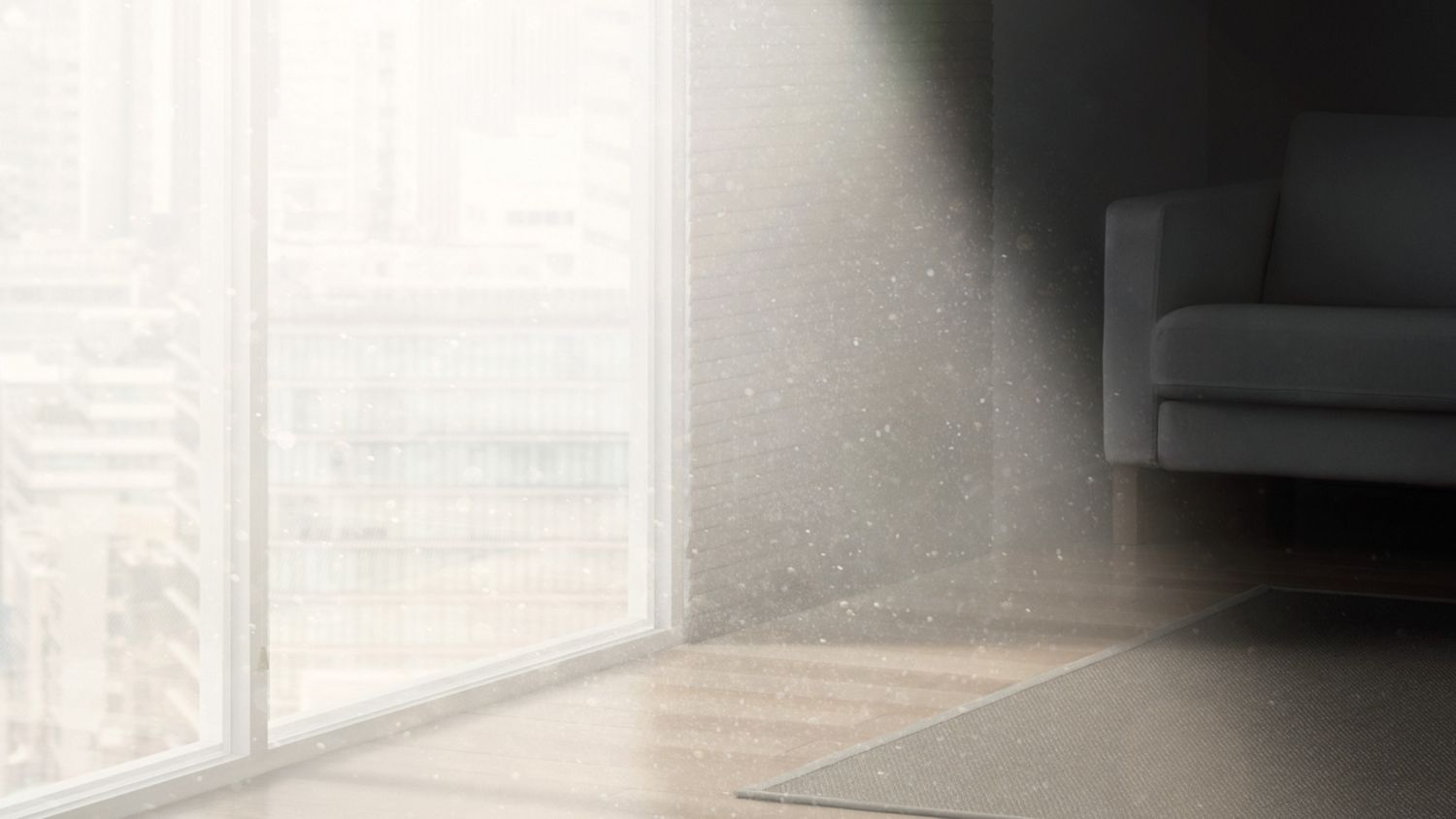 Pollen particles highlighted with the su beaming into a living room