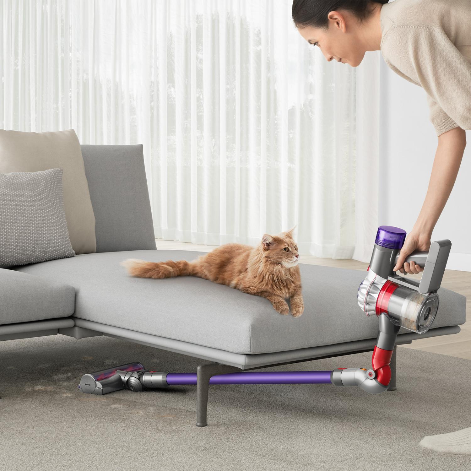 Dyson vacuum and pet