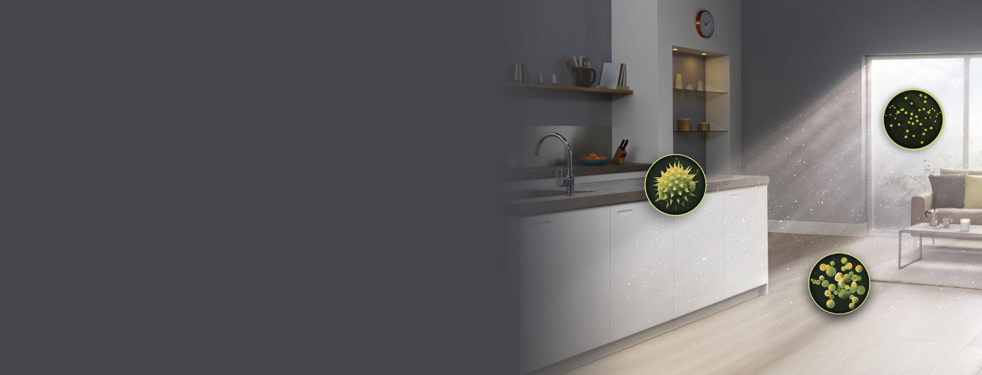 Kurz domowy i alergeny w kuchni i salonie