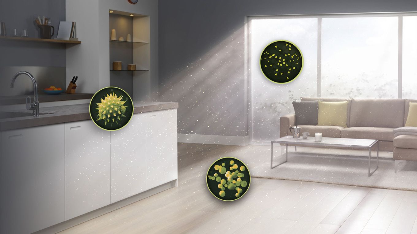 Så blir du av med damm i hemmet