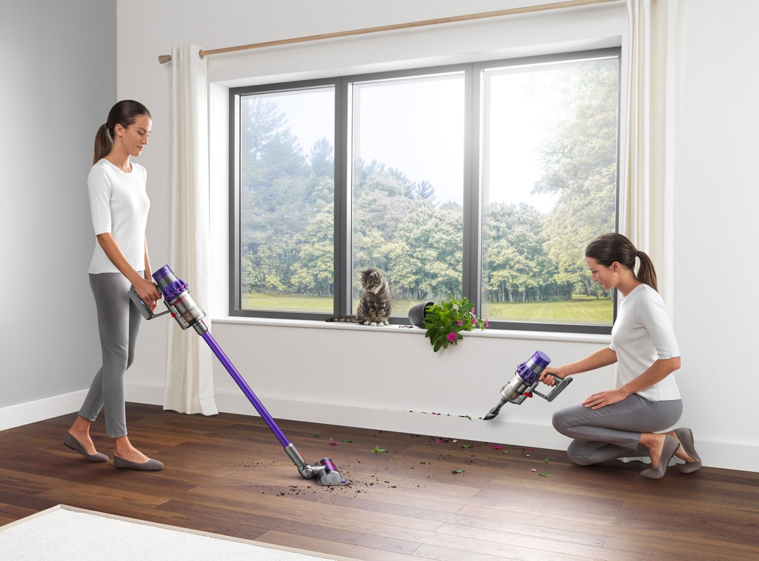 Vacuum cleaning mess from pet