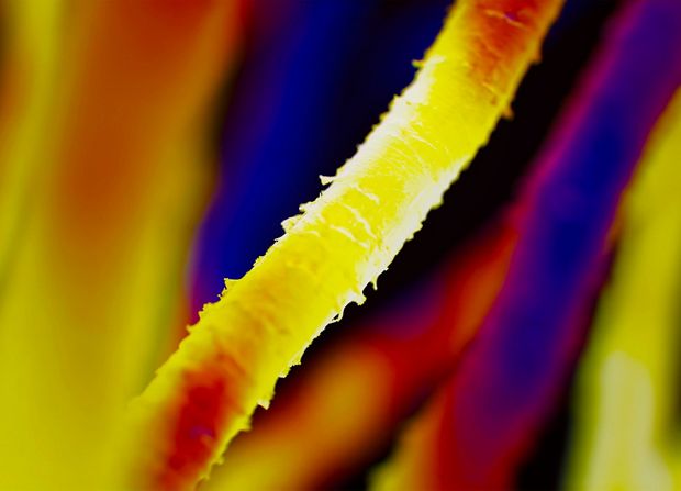 Zniszczone włosy pod mikroskopem i światłem podczerwonym